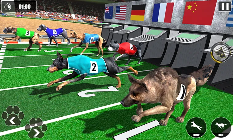 Cách Chơi Game Nhanh Đua Chó Tại HB88 Để Kiếm Thưởng Siêu Nhanh