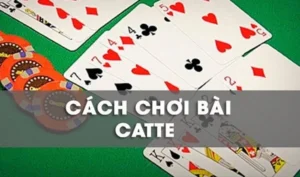 Cách Chơi Sắc Tê Nhà Cái HB88 Chuẩn Xác Nhất 2025