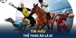 Khám Phá Cá Cược Thể Thao Ảo HB88: Giải Trí Đỉnh Cao